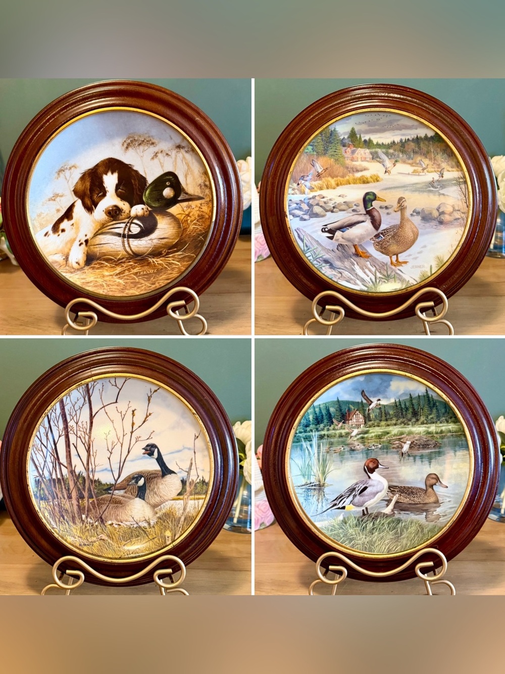 Vntg Knowles Collector Plates Mallard Geese Pintail Duck Springer Spaniel Framed